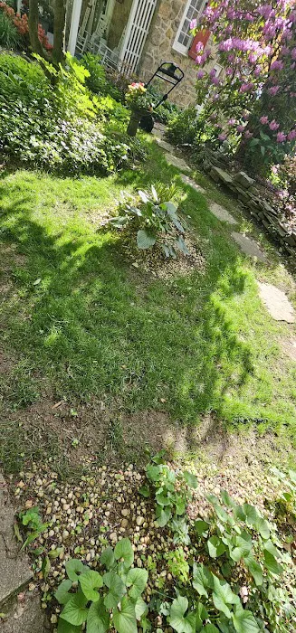 Weed Man Picture 9
