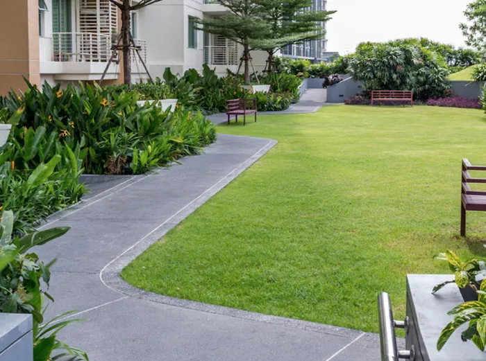 Go Green Lawn and Pest Control Picture 10