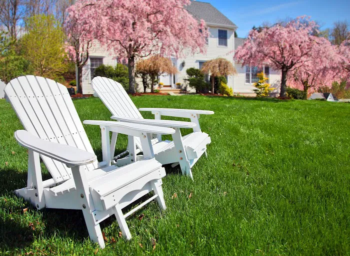 Go Green Lawn and Pest Control Picture 3