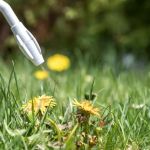 Go Green Lawn and Pest Control