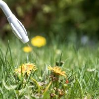 Go Green Lawn and Pest Control ico