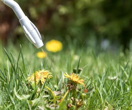 Go Green Lawn and Pest Control