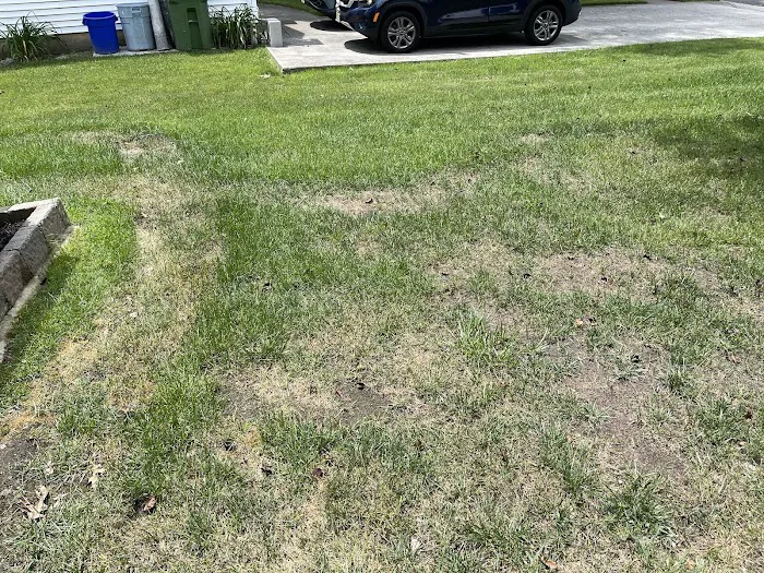 Lawn Doctor of Southeastern Atlantic County Picture 6