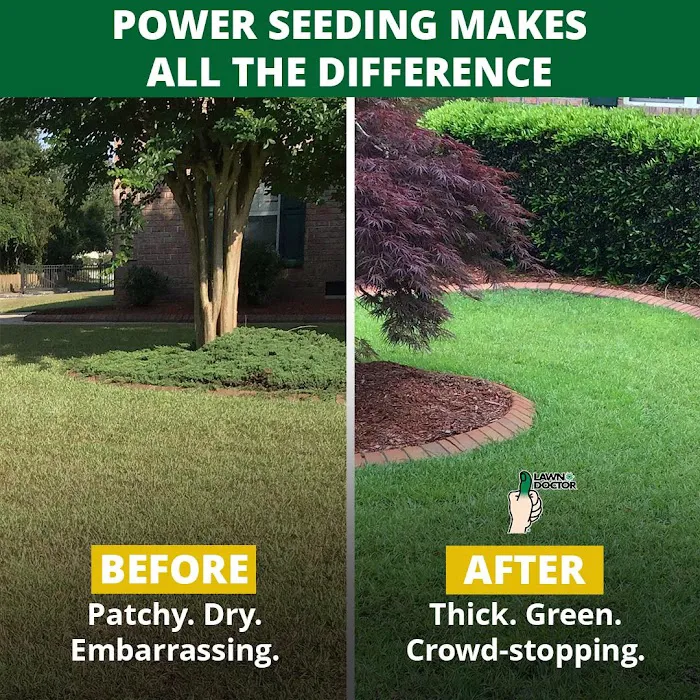 Lawn Doctor of Southeastern Atlantic County Picture 5