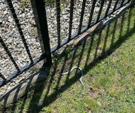 McNally Environmental Solutions