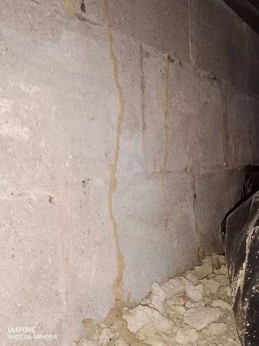 Tactical Pest Control LLC Picture 7
