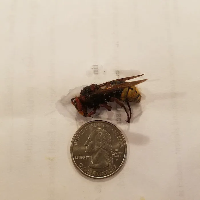 Tactical Pest Control LLC Picture 2
