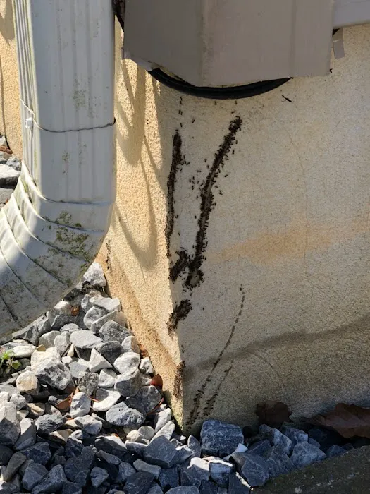 Tactical Pest Control LLC Picture 6