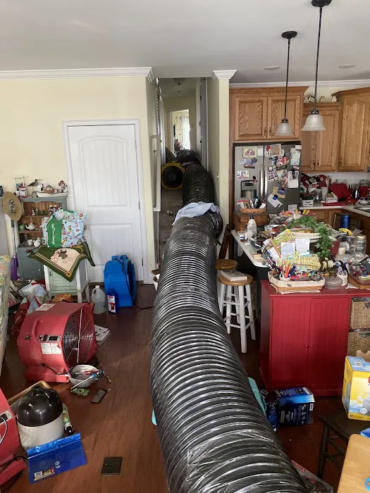 JP Pest Control LLC Picture 9
