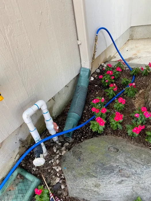 JP Pest Control LLC Picture 3
