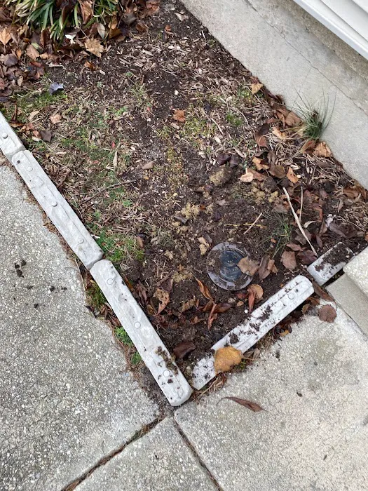 JP Pest Control LLC Picture 4