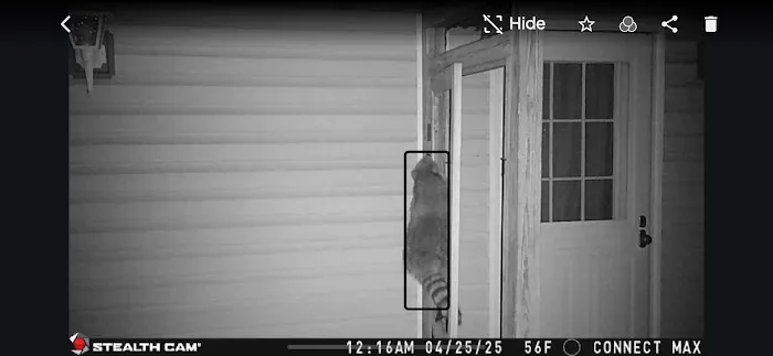 JP Pest Control LLC Picture 10