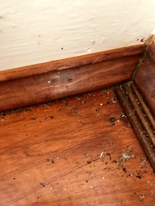 JP Pest Control LLC Picture 5