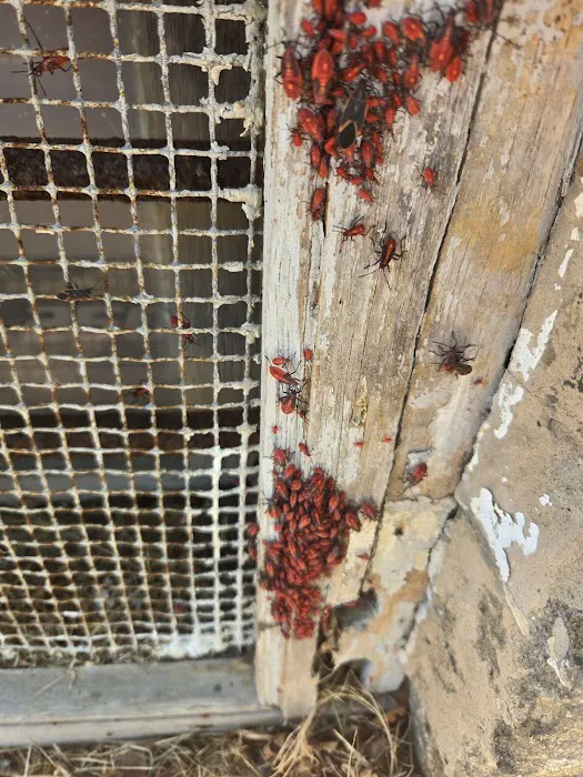 Muntz Pest Control LLC Picture 7