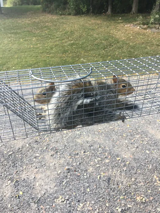 Outdoor Pest Pros- Finger Lakes and Southern Tier Picture 4