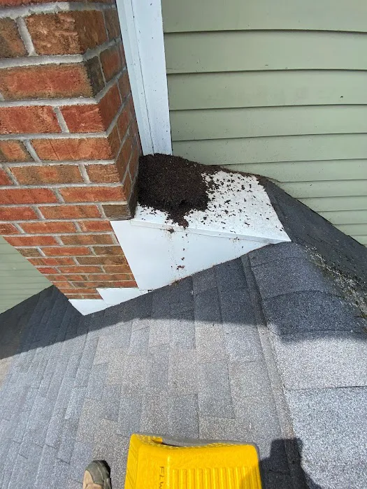 Outdoor Pest Pros- Finger Lakes and Southern Tier Picture 6