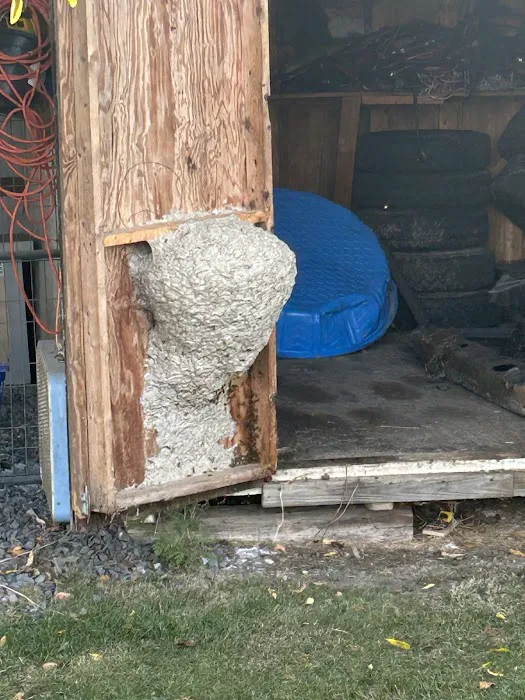Outdoor Pest Pros- Finger Lakes and Southern Tier Picture 9