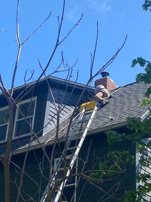 Outdoor Pest Pros- Finger Lakes and Southern Tier Picture 1