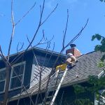 Outdoor Pest Pros- Finger Lakes and Southern Tier