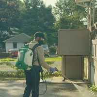 Rossi Pest Control ico