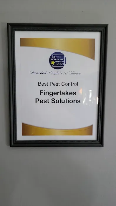 Fingerlakes Pest Solutions Picture 4
