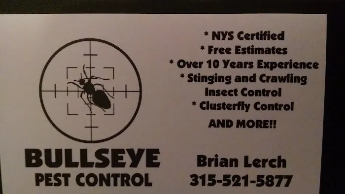 Bullseye Pest Control Picture 1