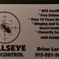 Bullseye Pest Control ico