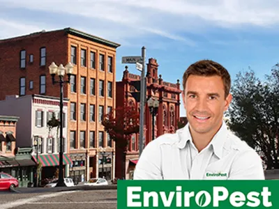 EnviroPest | Finger Lakes Pest Control Picture 2