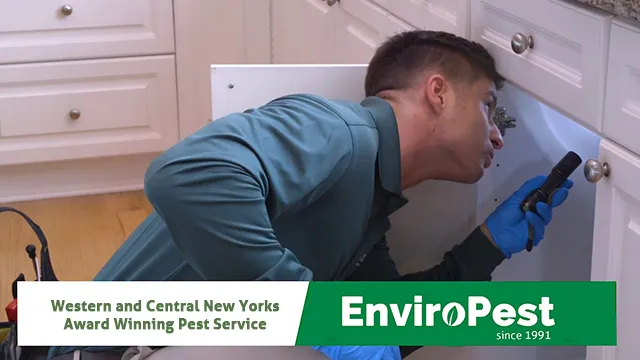 EnviroPest | Finger Lakes Pest Control Picture 6