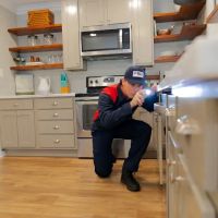 Fox Pest Control Syracuse ico