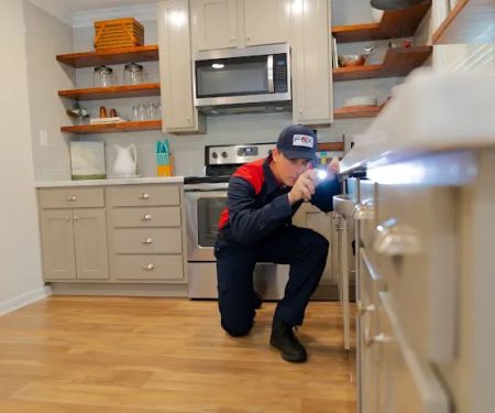 Fox Pest Control Syracuse