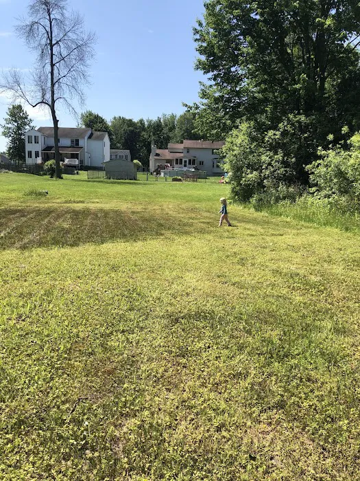 Fox Pest Control Syracuse Picture 4
