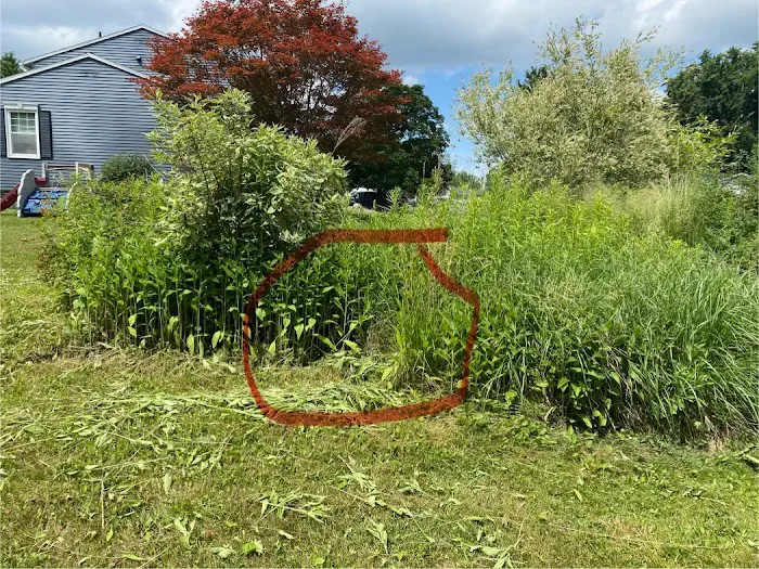 All Pest of Syracuse Picture 8