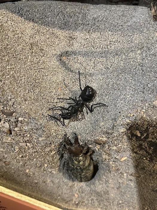 All Pest of Syracuse Picture 7