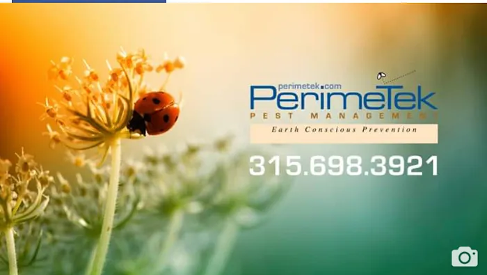Perimetek Pest Management, Corp Picture 9