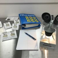 Perimetek Pest Management, Corp ico