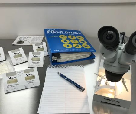 Perimetek Pest Management, Corp