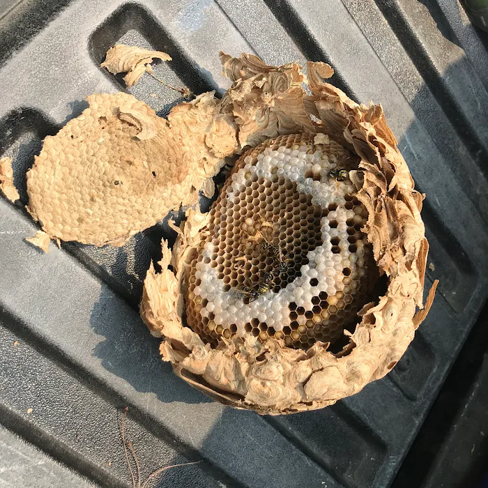 Perimetek Pest Management, Corp Picture 5
