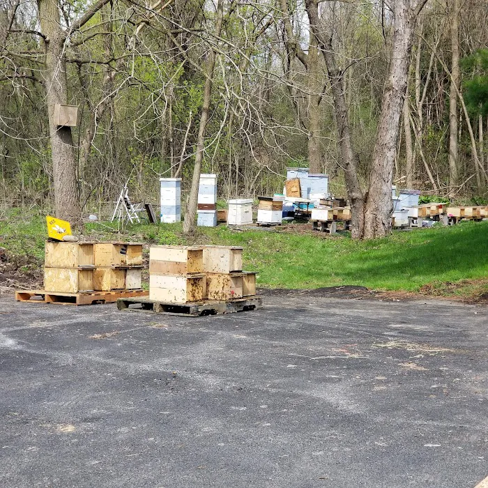 Syracuse Honey LLC Picture 6
