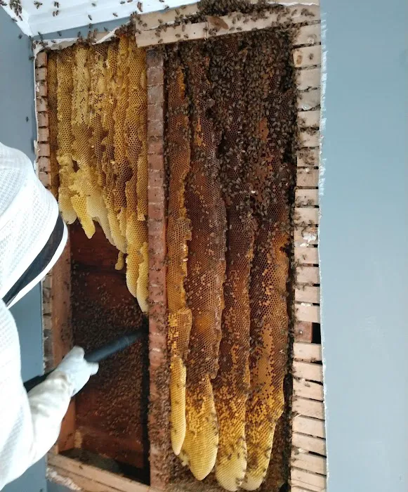 Syracuse Honey LLC Picture 3