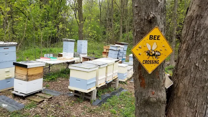 Syracuse Honey LLC Picture 4