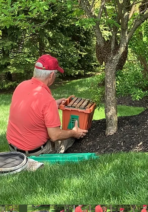 Syracuse Honey LLC Picture 2