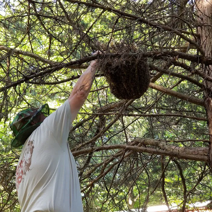 Syracuse Honey LLC Picture 10