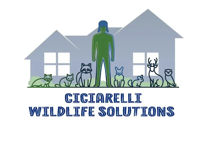 Ciciarelli Wildlife Solutions Picture 2