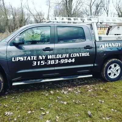 Upstate NY Wildlife Control Picture 3