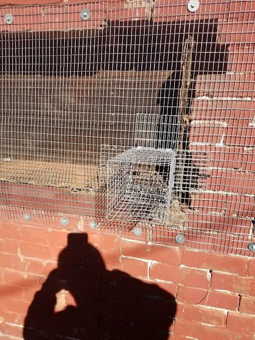 Problem Wildlife Picture 1