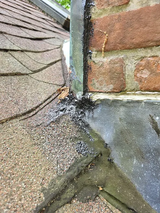 Liberty Wildlife Removal Inc. Picture 10