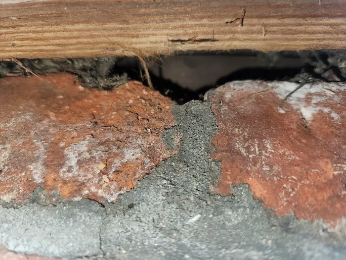 Liberty Wildlife Removal Inc. Picture 9
