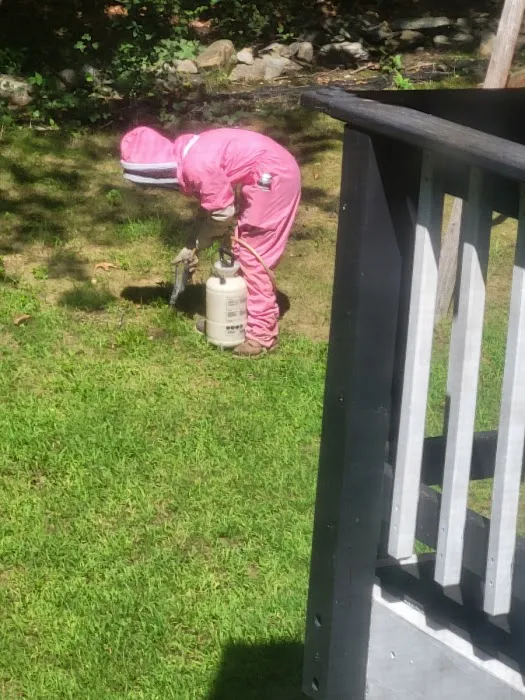 Cole's Pest Control Picture 1