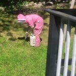 Cole's Pest Control
